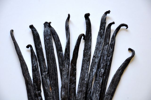Vanilla Bean